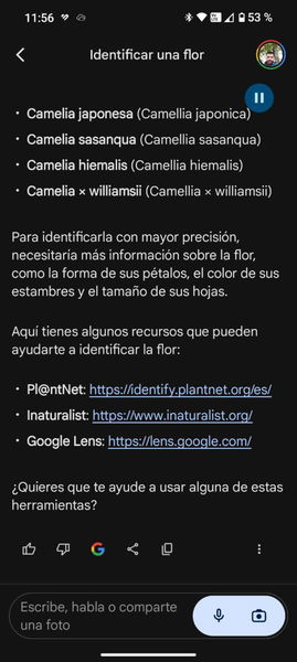 Cómo reemplazar el Asistente de Google por Gemini en tu móvil Android