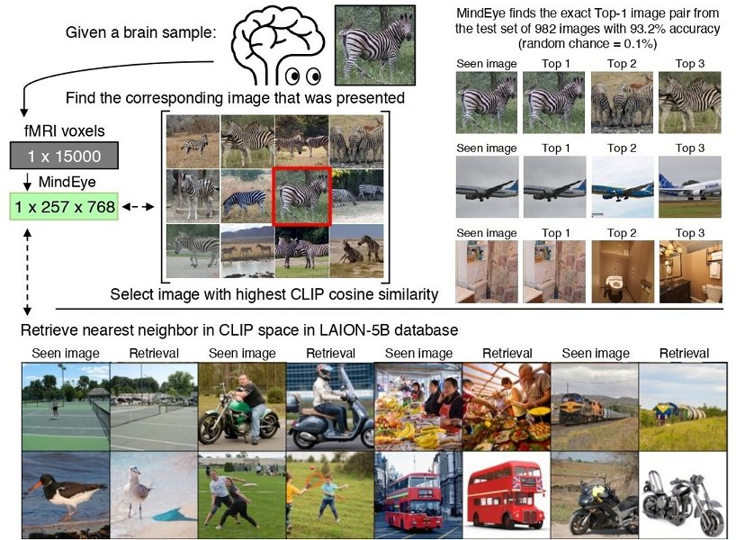 Crean una inteligencia artificial que puede generar imágenes a partir de tus pensamientos