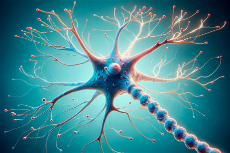Neuronas zombie, la misteriosa célula que muestra algunos de los secretos de nuestro cerebro