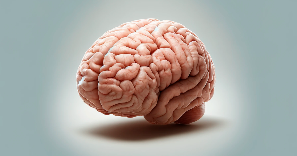 En un giro sin precedentes, han conseguido evitar uno de los grandes problemas al investigar el cerebro