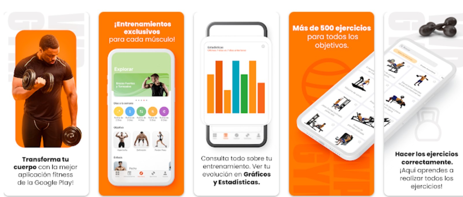 App Gym WP