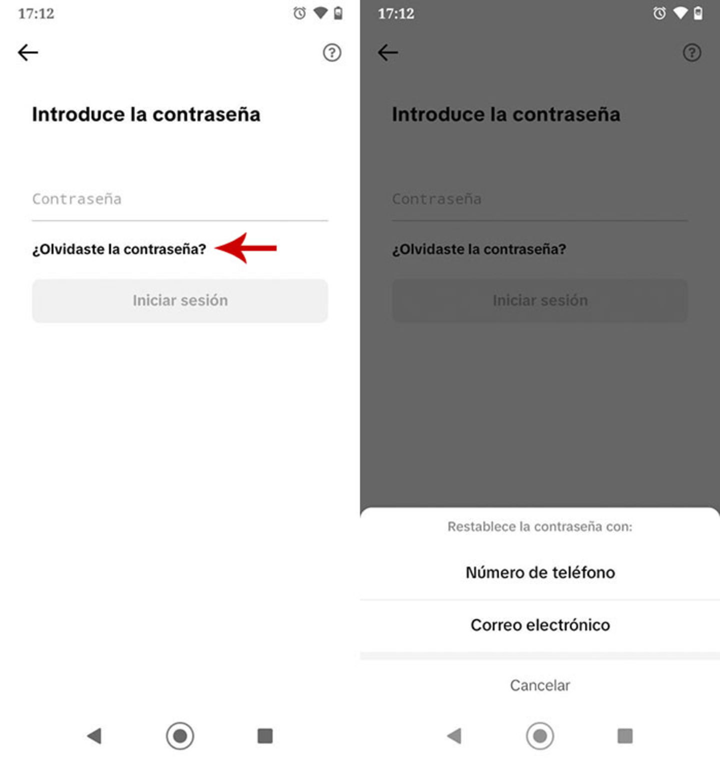 Recuperar la contraseña de una cuenta de TikTok