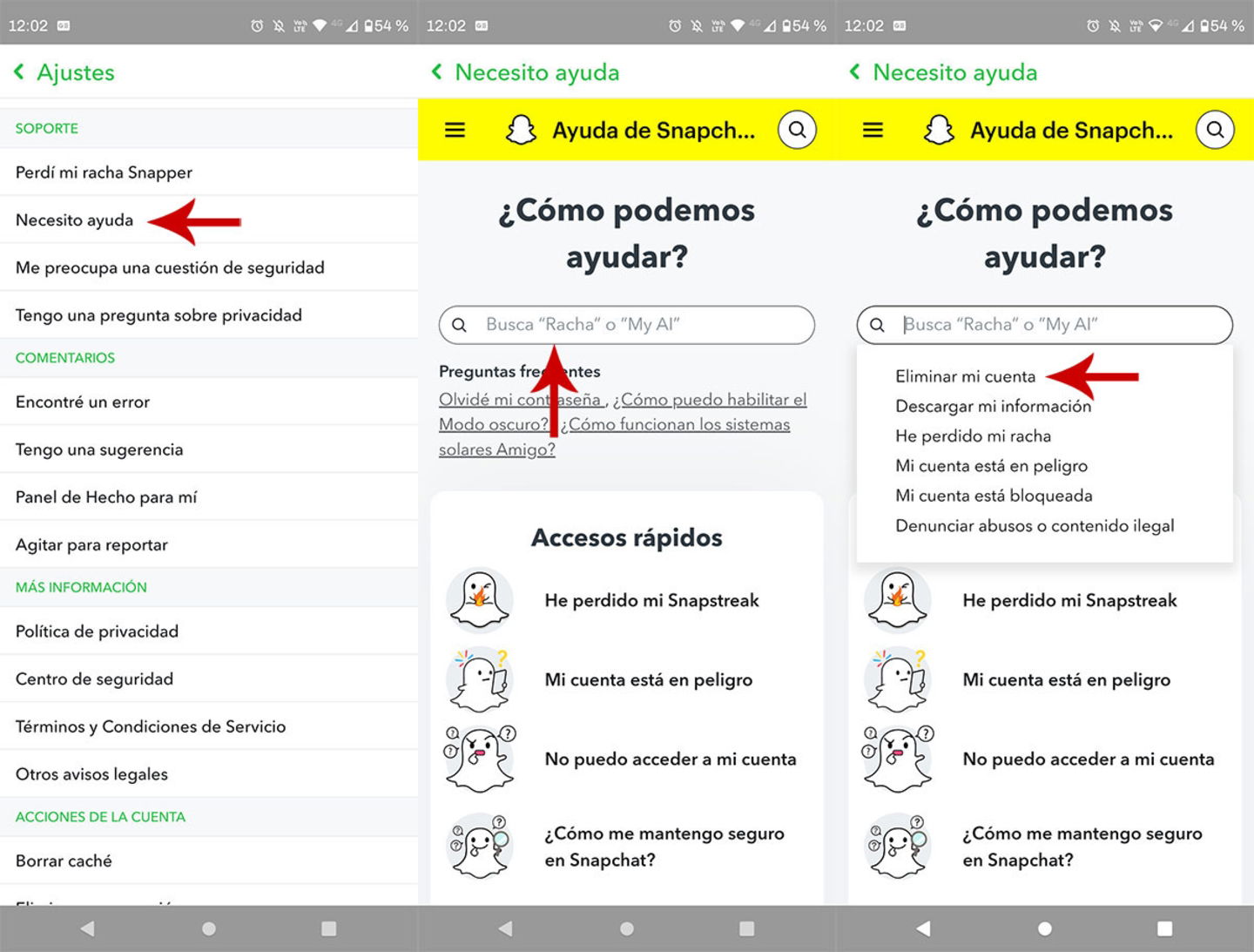 Ver opciones de eliminación de cuenta de Snapchat