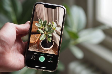Las mejores 4 apps para identificar objetos con el móvil