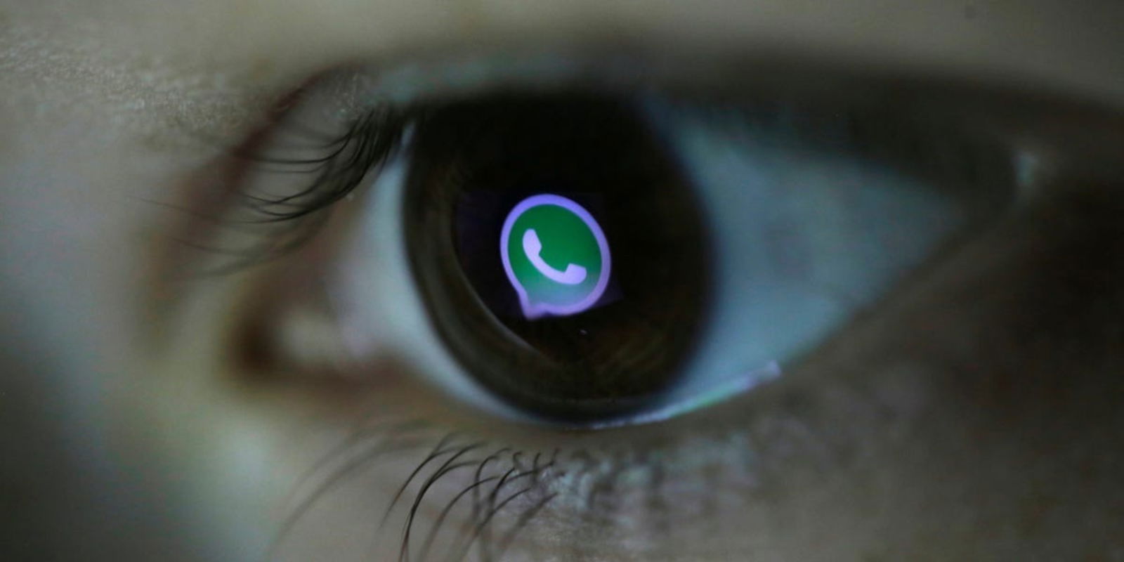 WhatsApp avisa si capturas la pantalla de un Estado