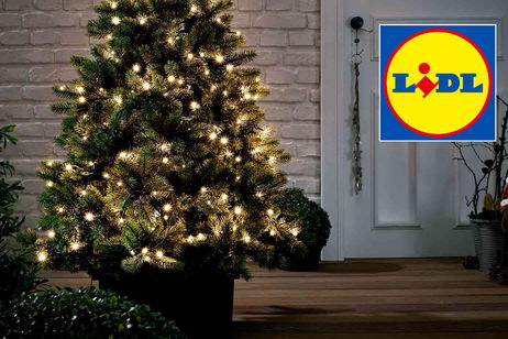 Este producto para iluminar tu casa está arrasando en el Lidl: hay colas para comprarlo Este producto para iluminar tu casa está arrasando en el Lidl: hay colas para comprarlo