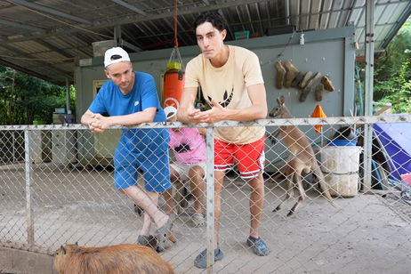 Mientras ElXokas y Plex hablaban de la vida, Frank estaba luchando por la suya. Así fue el 'tortazo' que recibió de su canguro