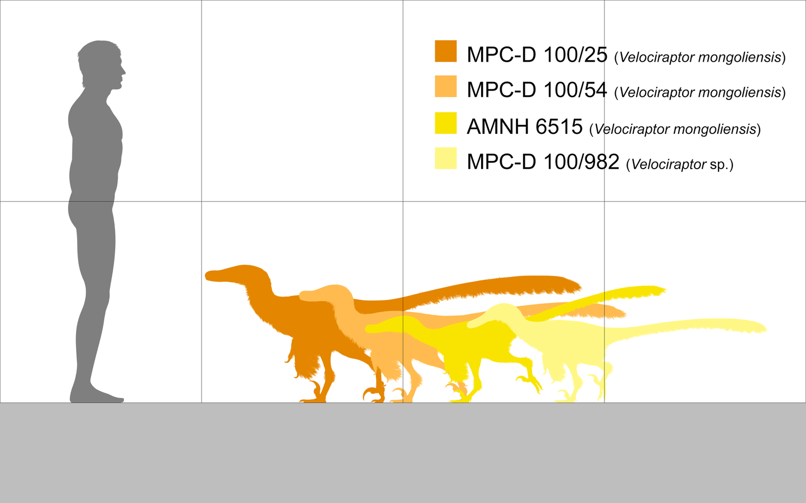 ¿El T-Rex podría haber sido el mayor enemigo para la humanidad? Había otros dinosaurios más peligrosos