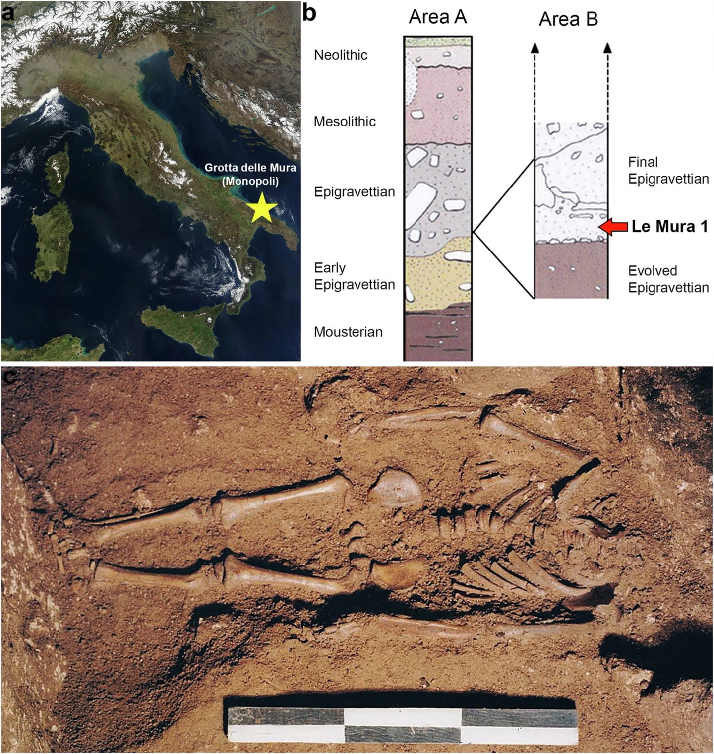 Este humano tiene 17.000 años de antigüedad. Ahora sabemos que fue fruto del incesto