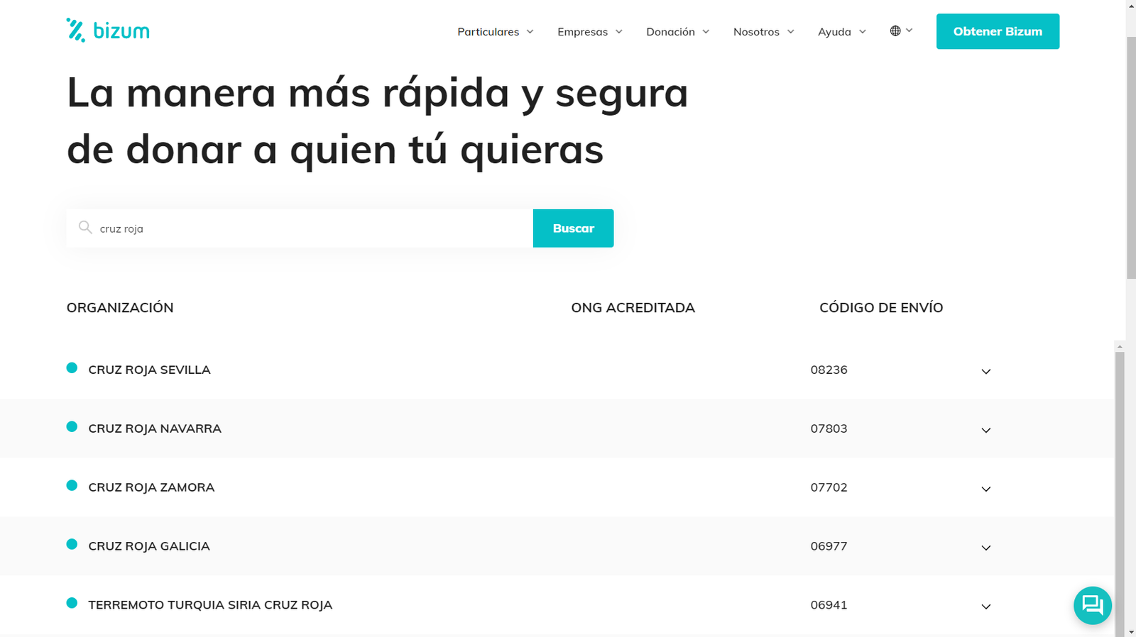 Cómo hacer una donación a una ONG a través de Bizum