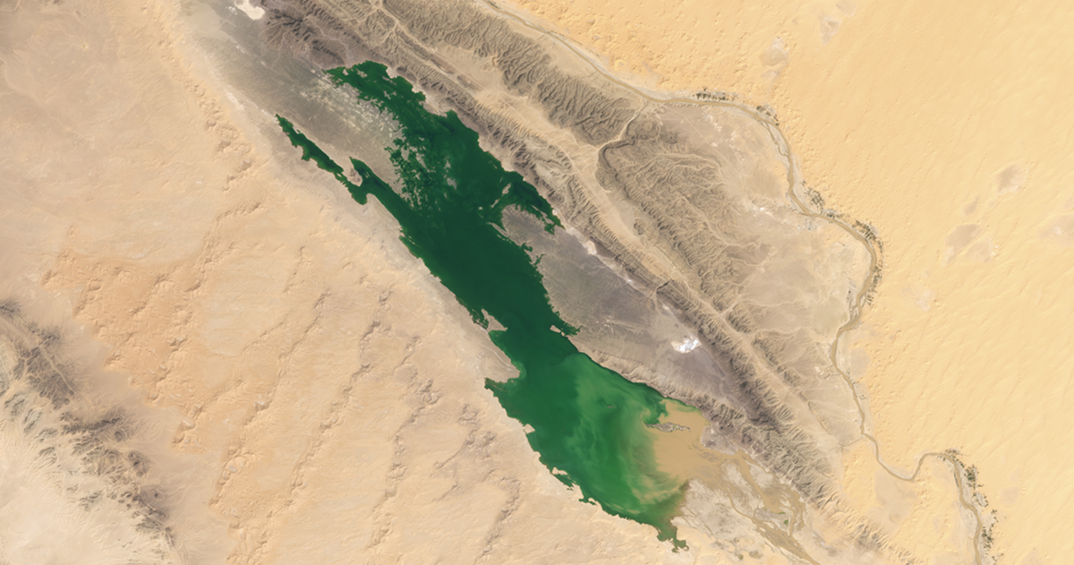 Ha aparecido un lago en pleno desierto del Sahara. Tiene la clave para la vida en el desierto