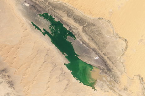 Ha aparecido un lago en pleno desierto del Sahara. Tiene la clave para la vida en el desierto