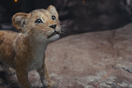 'Mufasa: El Rey León' lanza nuevo tráiler a un mes de su estreno en cines