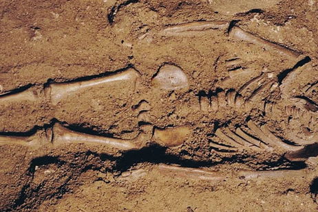 Este humano tiene 17.000 años de antigüedad. Ahora sabemos que fue fruto del incesto