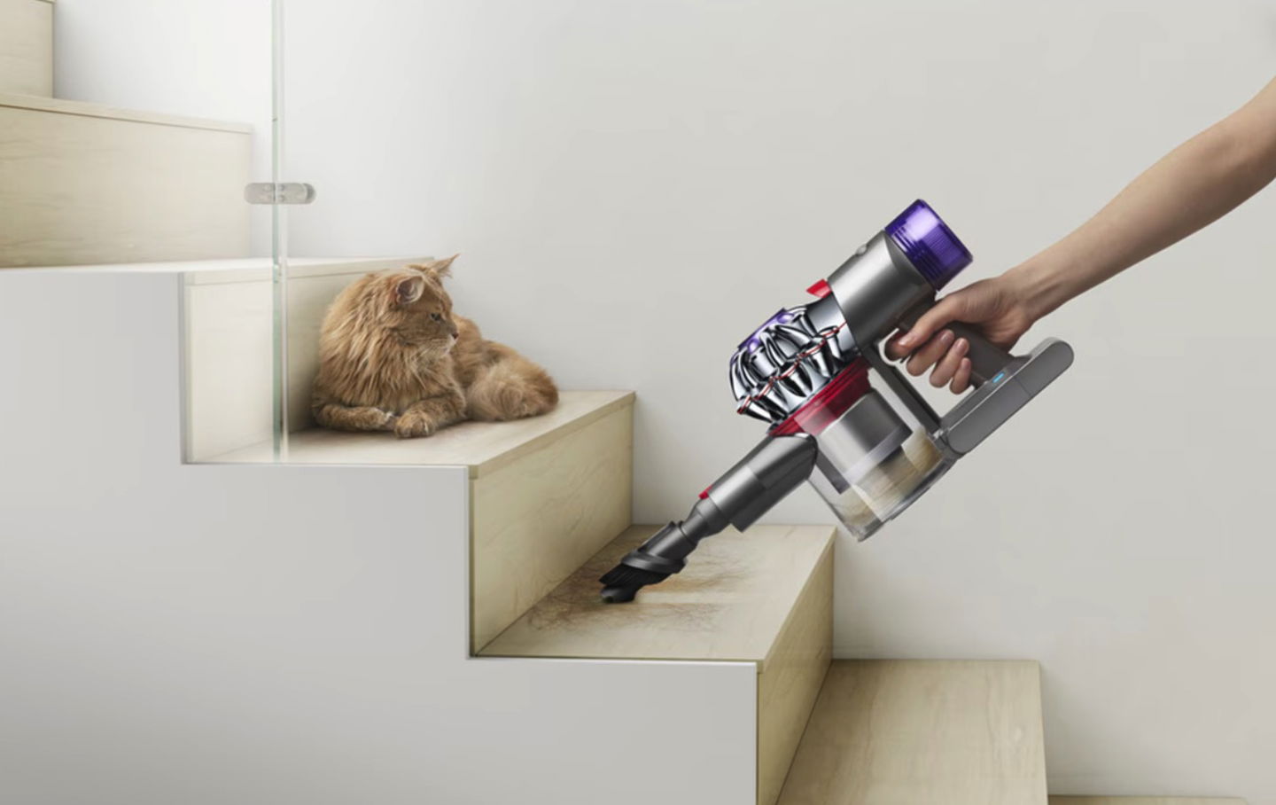 Dyson V8 Advanced de mano