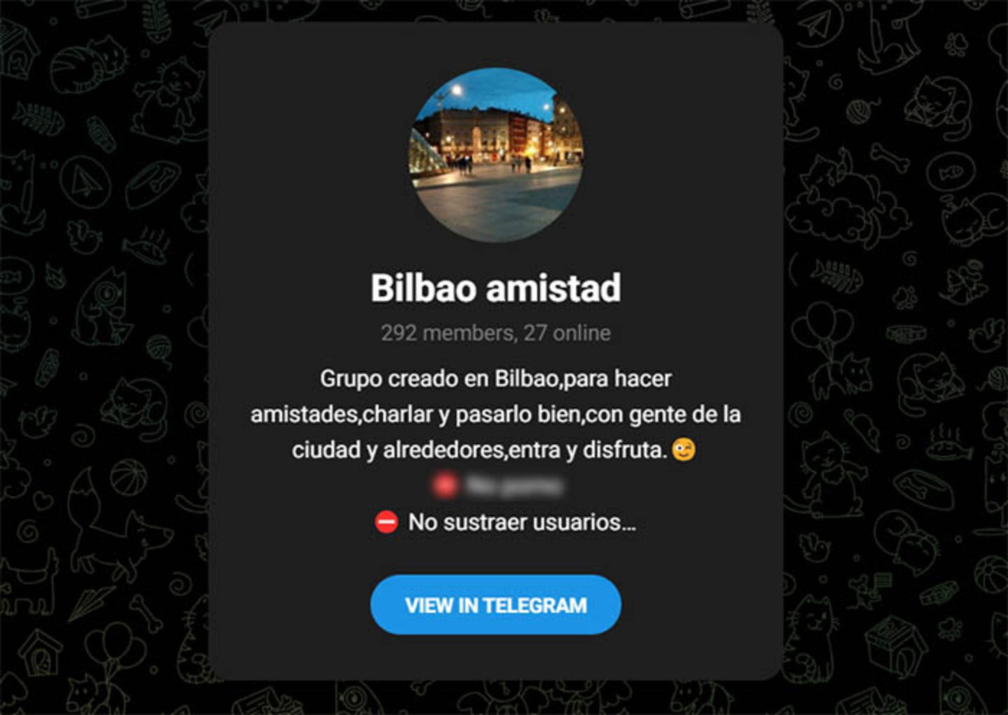 Bilbao amistad grupo de Telegram España