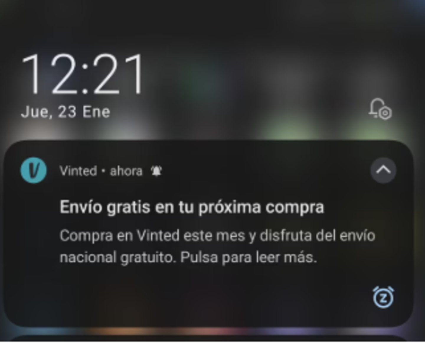 Vinted a veces lanza promociones de envío gratis