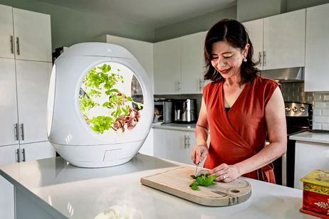 Pronto podrás cosechar tus propias verduras aunque vivas en un piso gracias a este jardín futurista