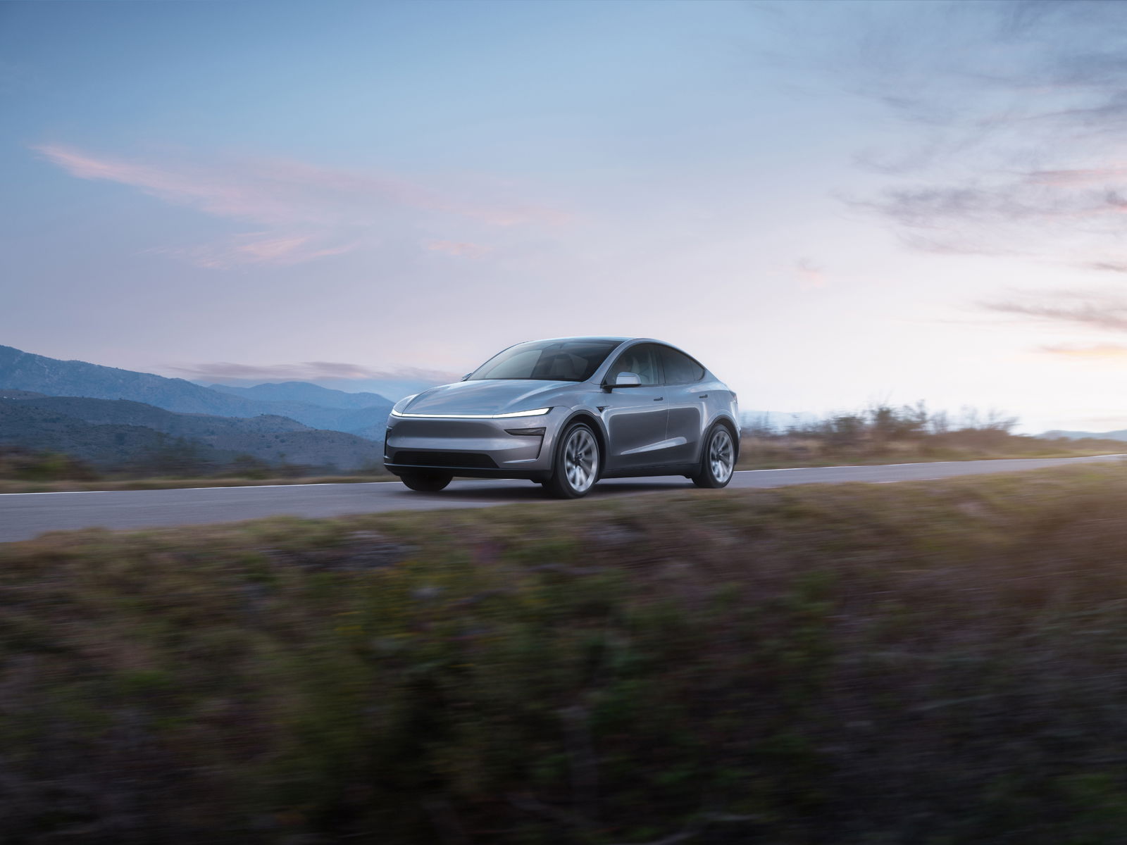 Tesla - New Model Y 