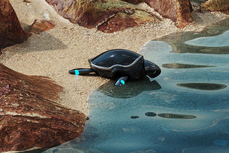 Pronto tendremos tortugas marinas nadando a nuestro alrededor en la playa: serán robots