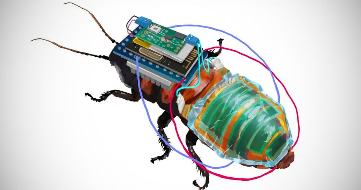 Las supercucarachas, mitad insecto, mitad robot, son además muy poderosas