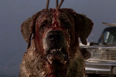 'Cujo', el perro más malo de Stephen King, tendrá su remake en Netflix