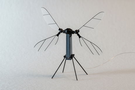 China arrasa con su nuevo dron: tan pequeño como un mosquito, pero con un gran poder en su interior