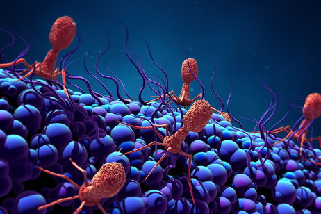 Encuentran más de 230 virus: están cambiando los océanos