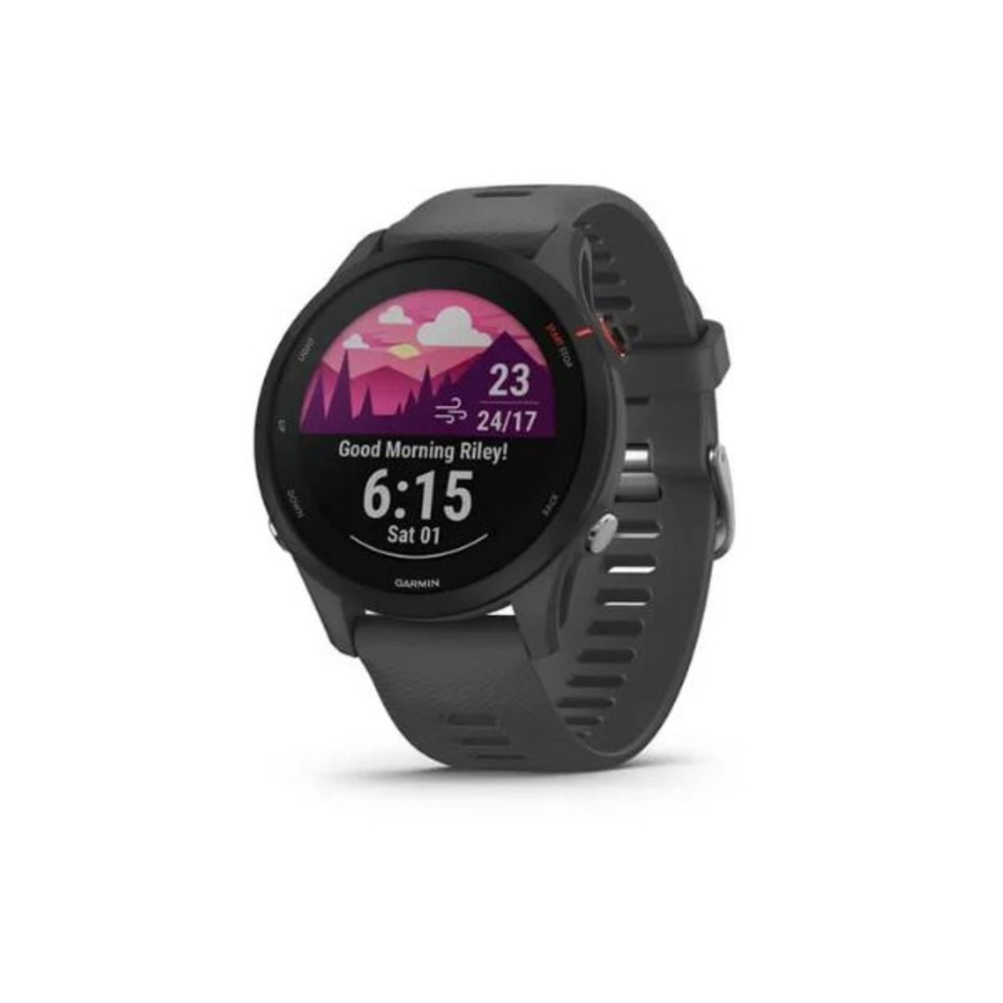 Garmin Forerunner 255