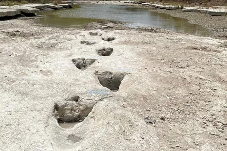 Las inundaciones de Texas revelan las pisadas de un dinosaurio gigante que vivió hace 15 millones de años