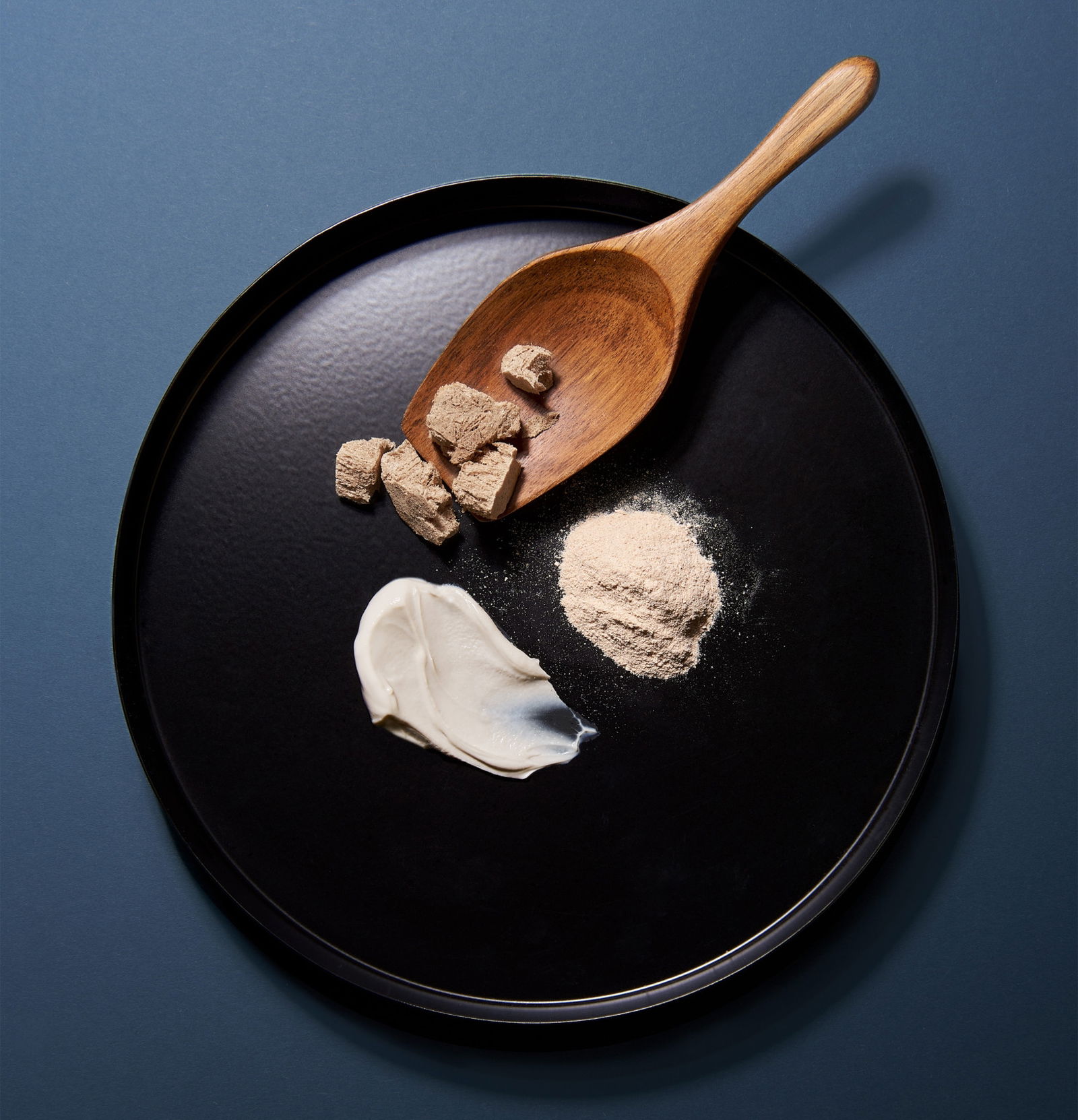 Una startup portuguesa convierte bacterias muertas en comida para perros y planea hacer lo mismo con la alimentación humana