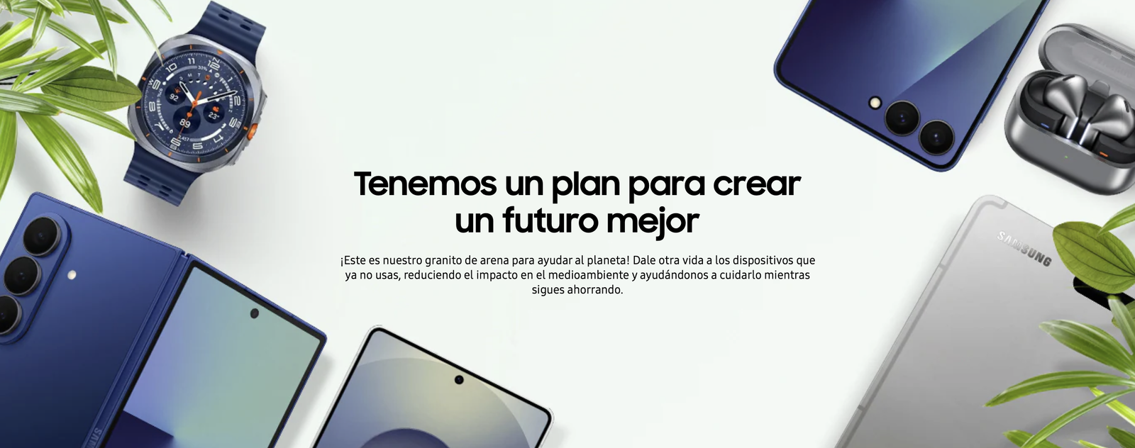 Entrega y Estrena