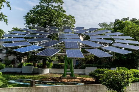 Árboles solares: la alternativa fotovoltaica que permite proteger el 99% de los bosques naturales