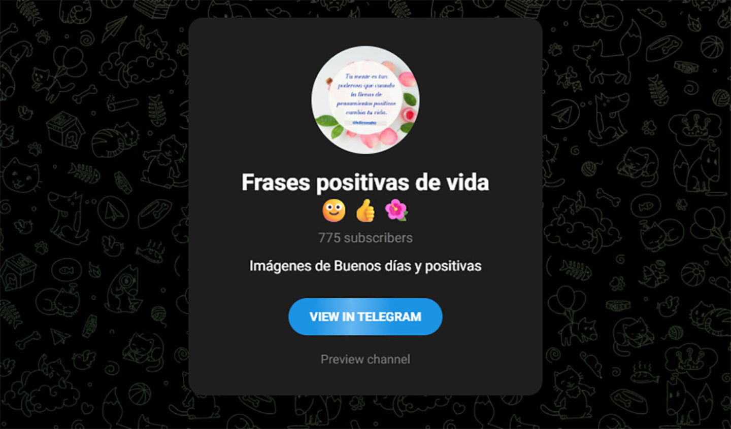 Frases positivas de vida canal de Telegram