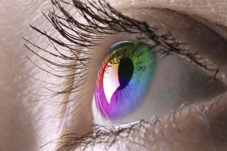 La ciencia lo confirma: todos vemos los colores de la misma forma La ciencia lo confirma: todos vemos los colores de la misma forma