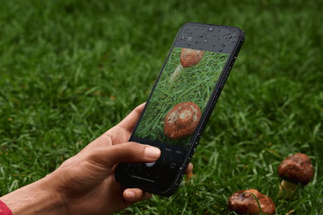 Este móvil ultrabarato de Xiaomi brilla en el segmento de los 100 euros: chip Ultra, 6000 mAh y HyperOS 2 Este móvil ultrabarato de Xiaomi brilla en el segmento de los 100 euros: chip Ultra, 6000 mAh y HyperOS 2