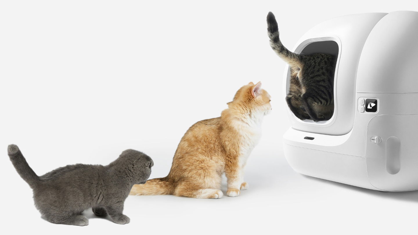 ¡Últimas horas con gran descuento! Automatiza el cuidado de tu felino con el arenero autolimpiable que convence a dueños ocupados