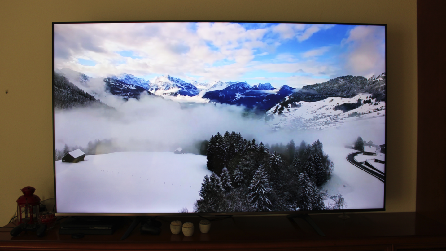 Imagen de bosque en Xiaomi TV F Pro 75 2026