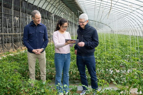 Apple se sigue reestructurando en sus puestos ejecutivos previo a la salida de Jeff Williams según Bloomberg Apple se sigue reestructurando en sus puestos ejecutivos previo a la salida de Jeff Williams según Bloomberg