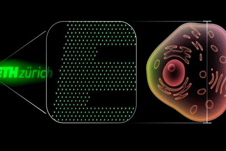 Así son los diodos de luz nano-OLED: 100 veces más pequeños que una célula humana Así son los diodos de luz nano-OLED: 100 veces más pequeños que una célula humana