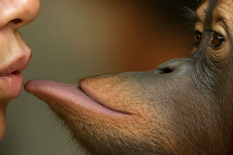 De chimpancés a neandertales: un análisis evolutivo destapa que los primeros Homo sapiens besaban a otras especies