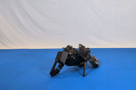 Ni acrobacias ni equilibrio perfecto: la inesperada revolución de Disney (sí, has leído bien) es enseñar a los robots a caerse