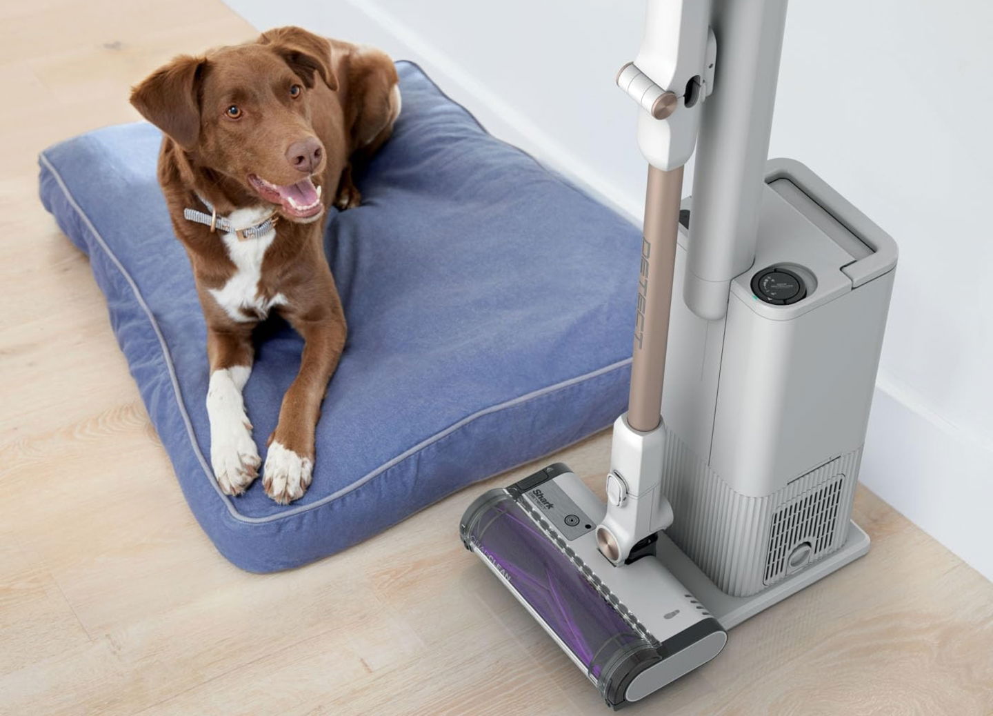 Shark Detect Clean cargando