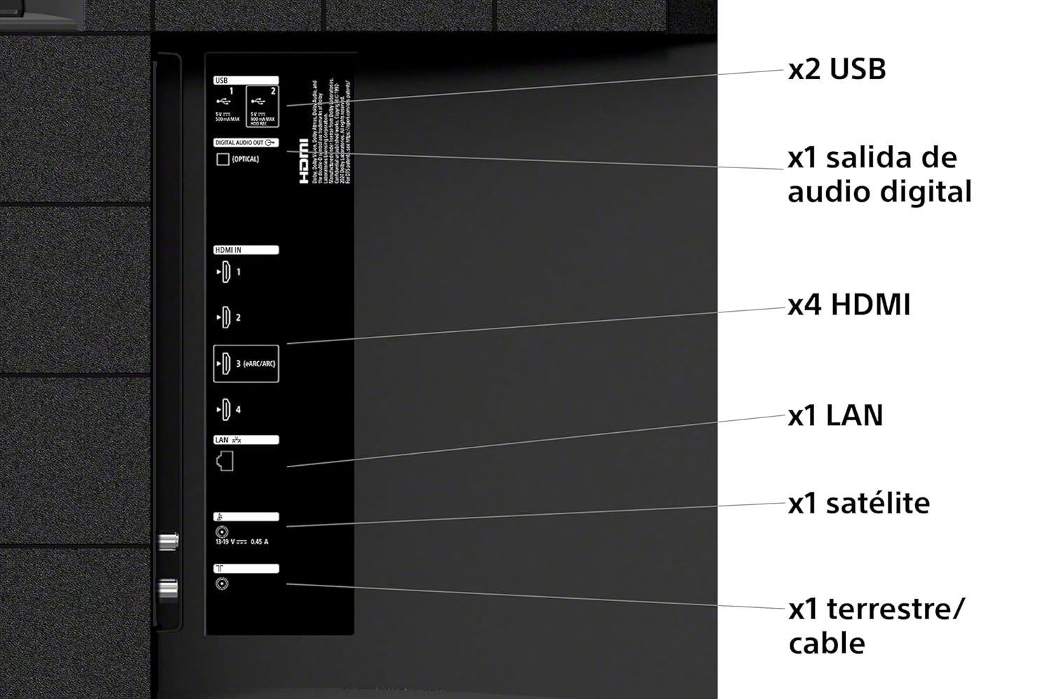 Sony BRAVIA 3 puertos