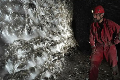 Se ha encontrado la telaraña más grande del mundo, y se encuentra más cerca de lo que imaginas Se ha encontrado la telaraña más grande del mundo, y se encuentra más cerca de lo que imaginas