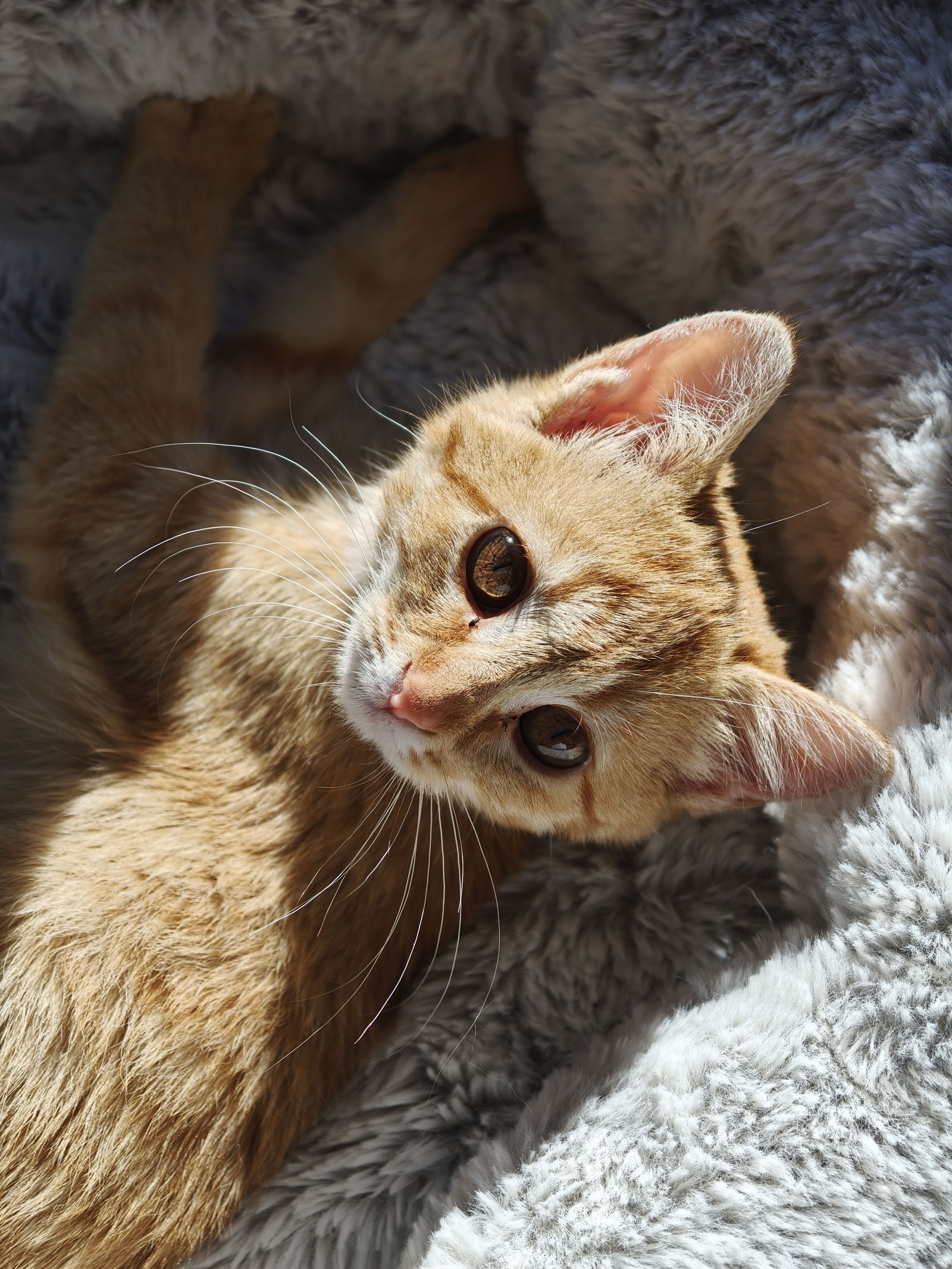 Teleobjetivo 3x en interior