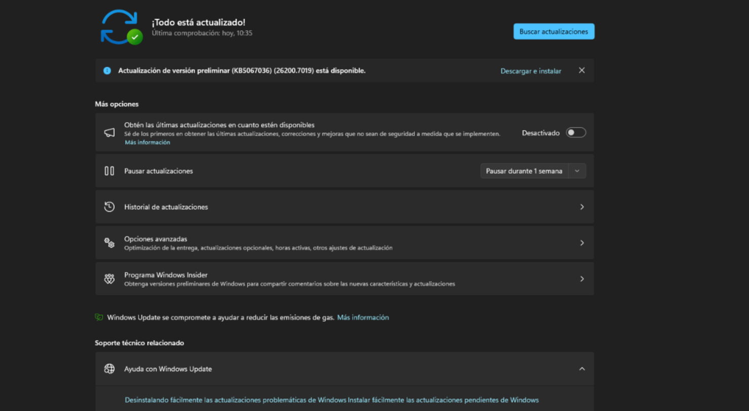 Pantalla de Windows Update
