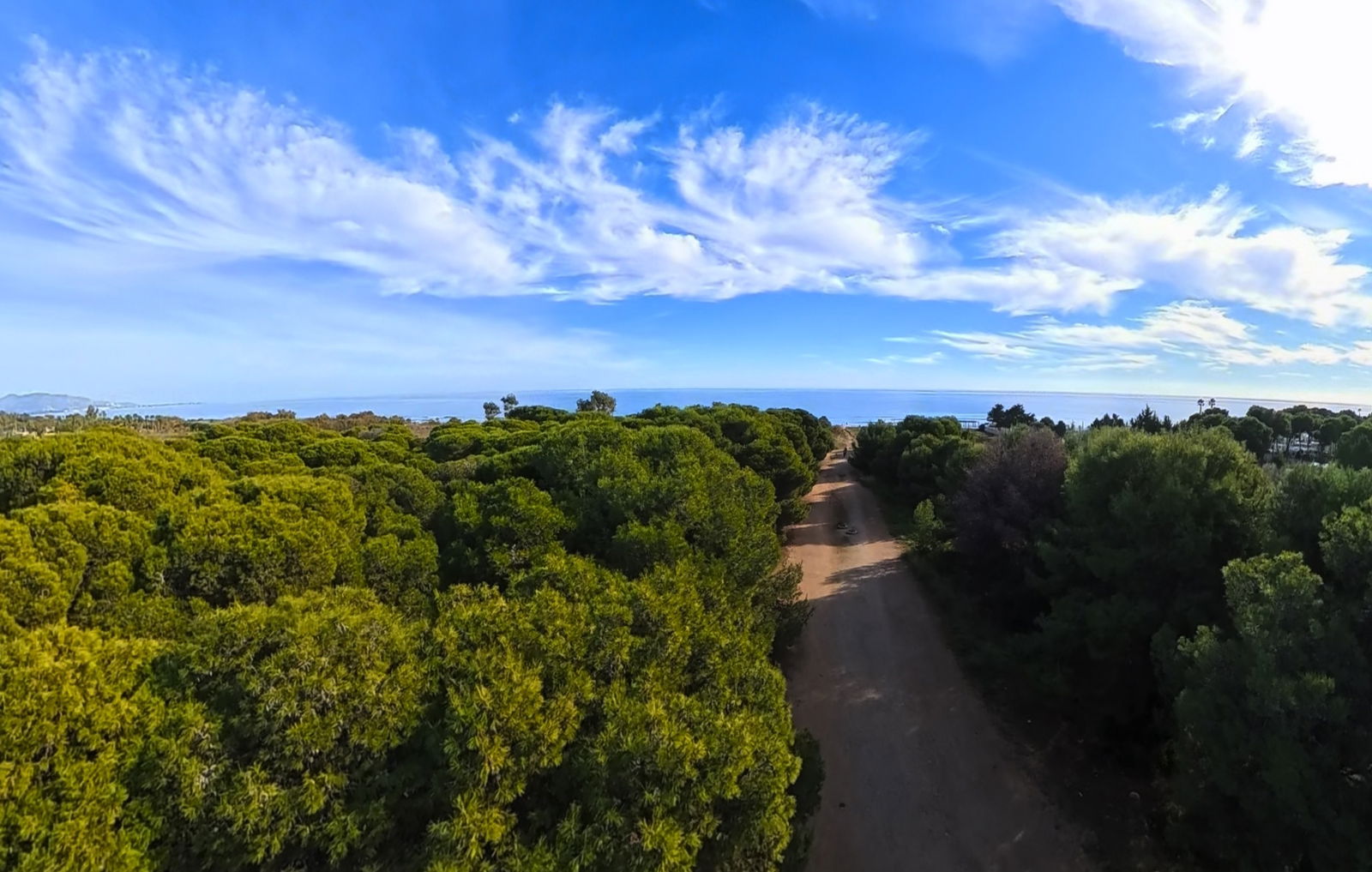 Antigravity A1 captura bosque