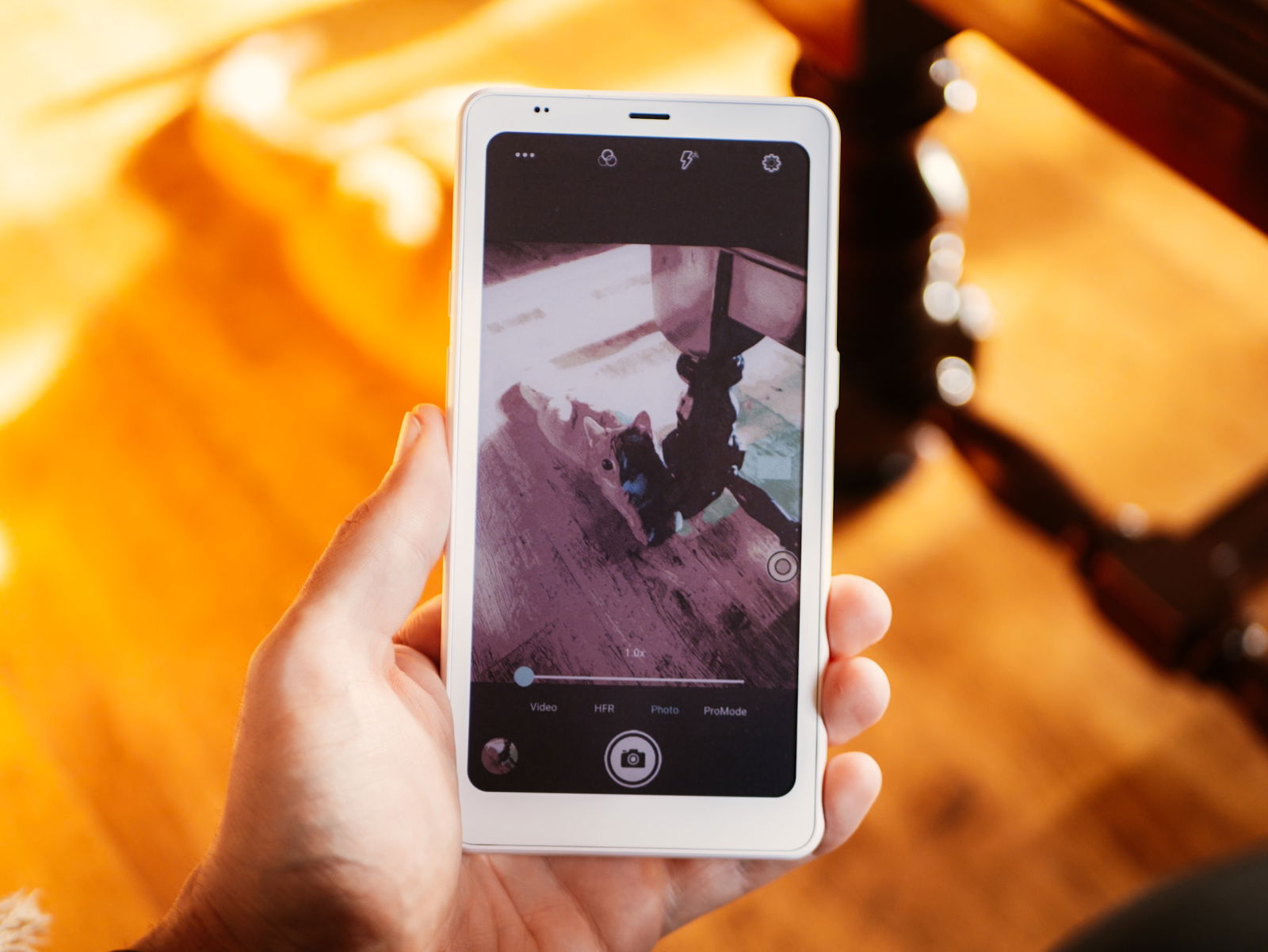 Haciendo fotos con BOOX Palma 2 Pro