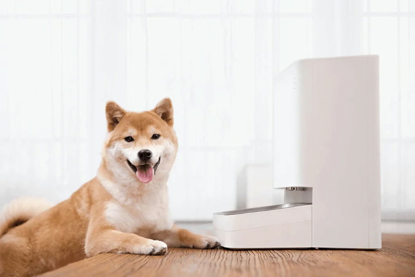 Hazte con este alimentador automático de Xiaomi a un precio de derribo